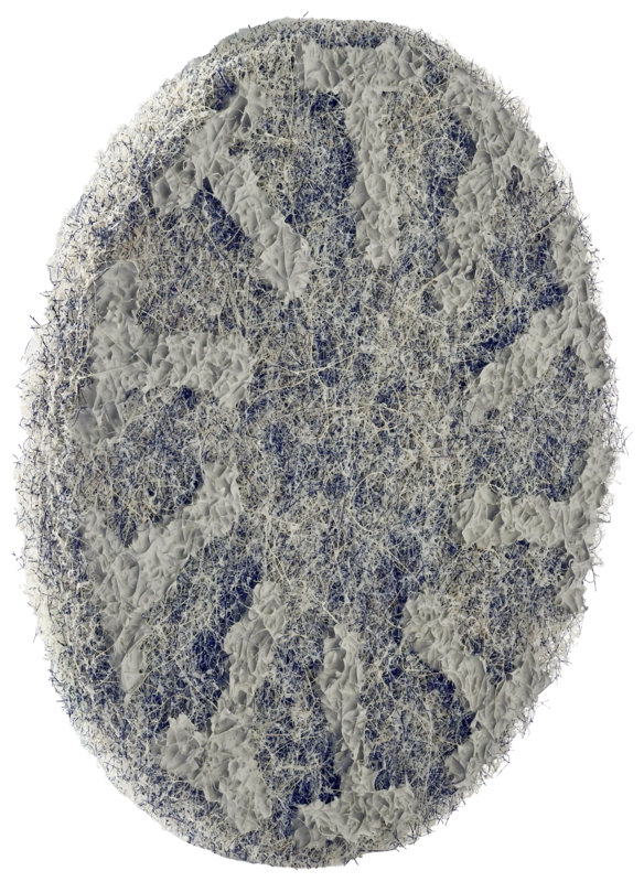 Brusni polirni - diamantni disk FGPU